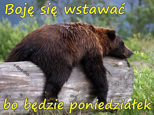 boje_sie_wstawac_bo_bedzie_poniedzialek_7571.jpg