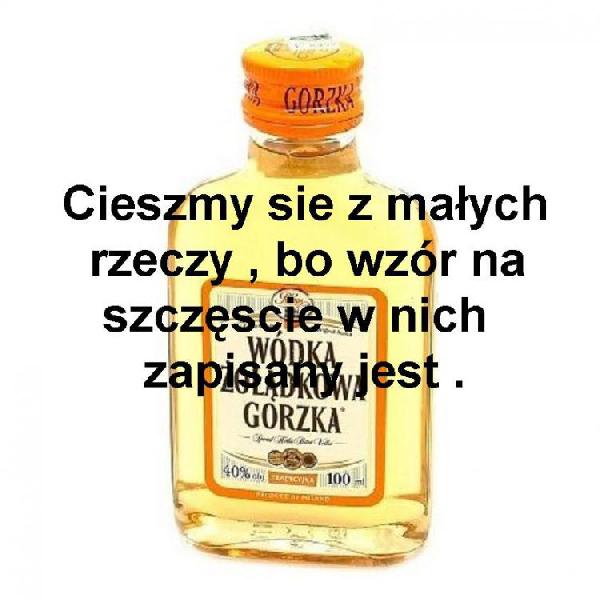 [Obrazek: wodka_gorzka_cieszymy_sie_z_malych_2013-...middle.jpg]