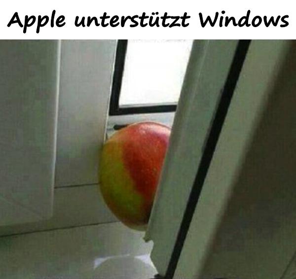 Apple unterstützt Windows