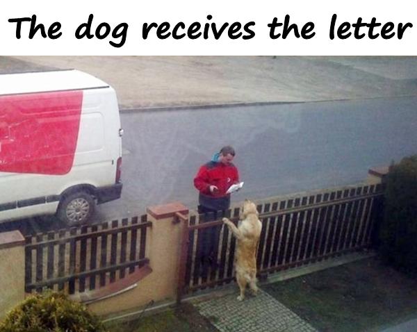 Der Hund erhält den Brief