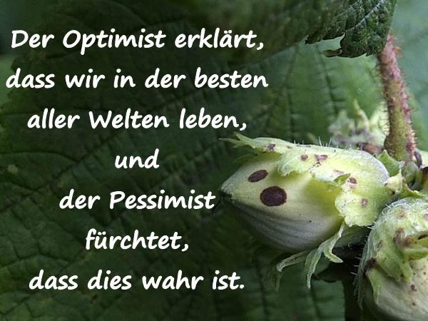 Der Optimist erklärt, dass wir in der besten aller Welten leben, und der Pessimist fürchtet, dass dies wahr ist.