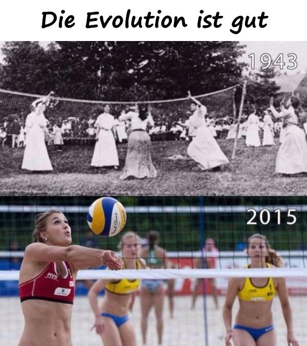 Volleyball Lustige Spruche Evolution Lustige Xdpedia De