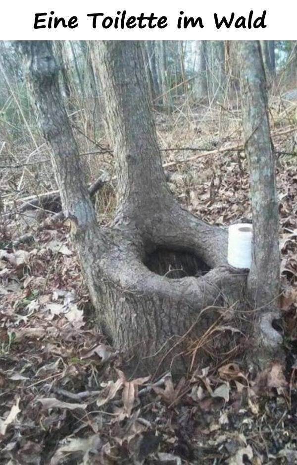 Eine Toilette im Wald