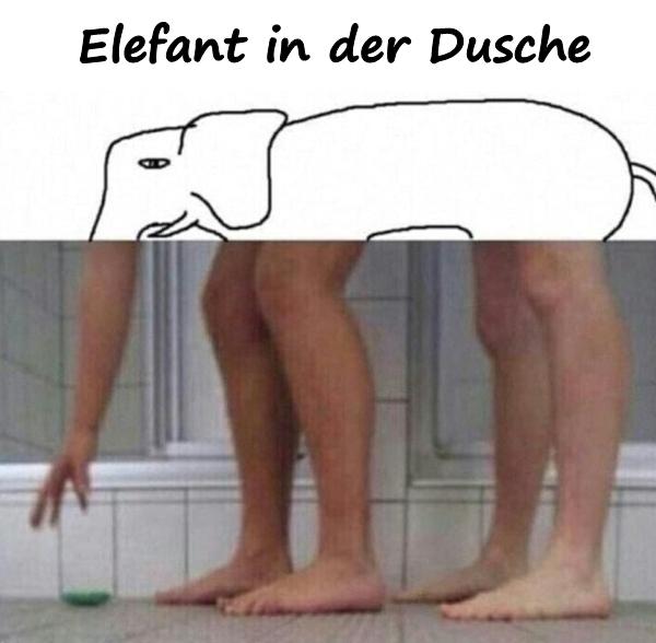 Elefant in der Dusche