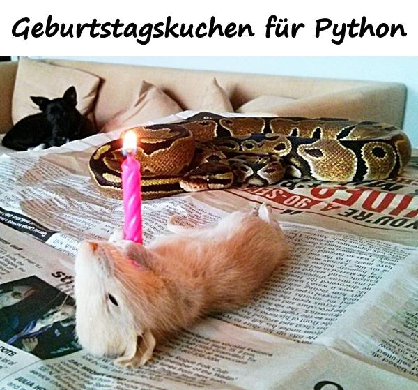 Geburtstagskuchen für Python