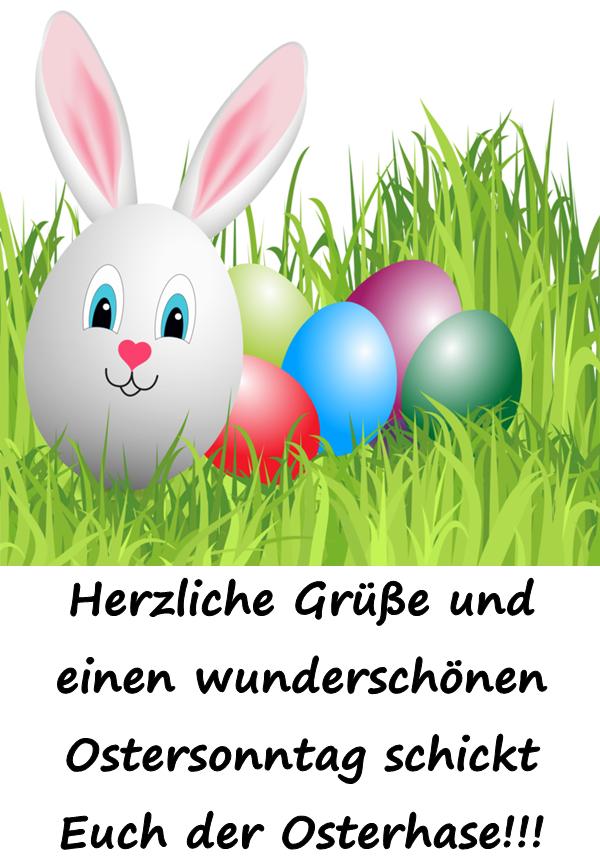 Herzliche Grüße und einen wunderschönen Ostersonntag schickt Euch der Osterhase!!!