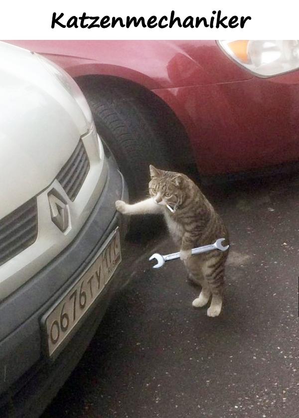 Katzenmechaniker