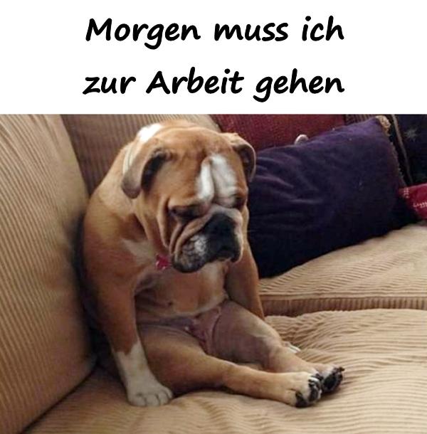 Zitate Sprüche Memes Deutsch Debeste Lustig Witze