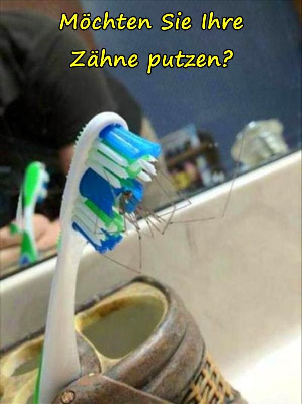 Möchten Sie Ihre Zähne putzen?