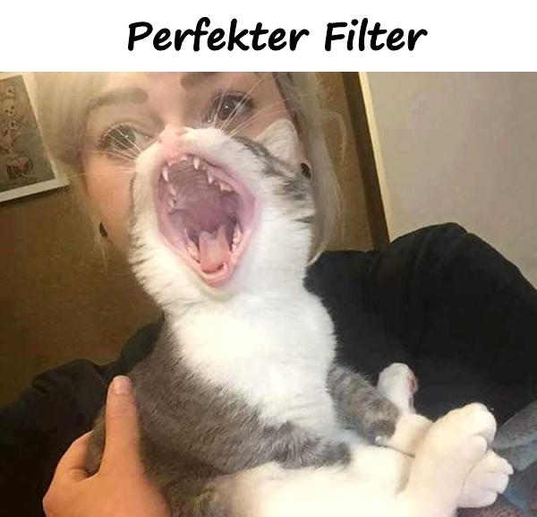 Perfekter Filter