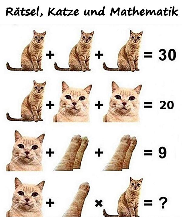 Rätsel, Katze und Mathematik