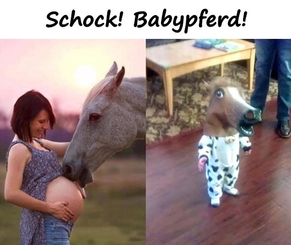 Schock! Babypferd!