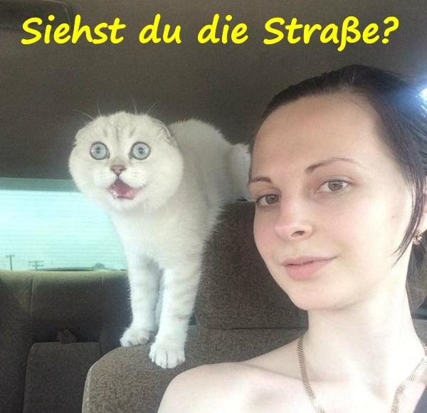 Zitate Spruche Memes Deutsch Debeste Lustig Witze Lustige Bilder Fb Xdpedia De 53