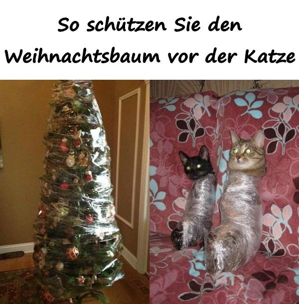 So schützen Sie den Weihnachtsbaum vor der Katze