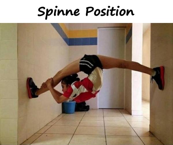 Spinne Position