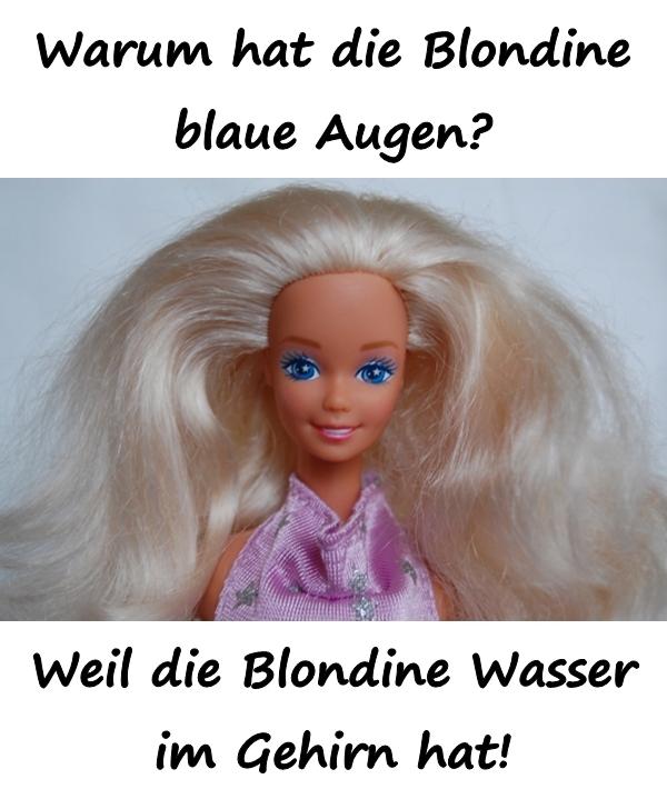 Warum hat die Blondine blaue Augen? Weil die Blondine Wasser im Gehirn hat!