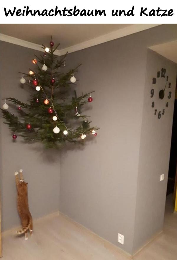Weihnachtsbaum und Katze