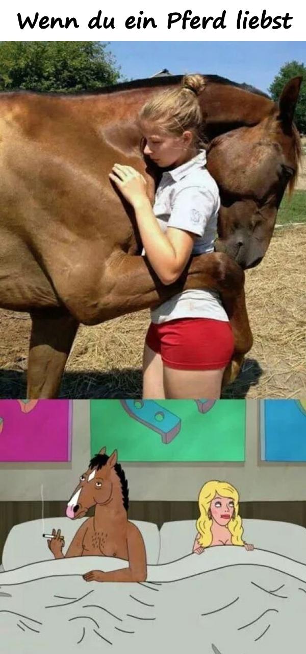 Wenn du ein Pferd liebst