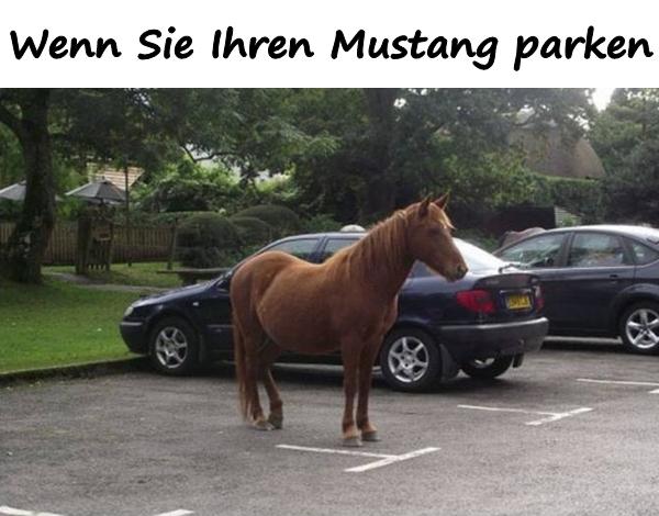 Wenn Sie Ihren Mustang parken