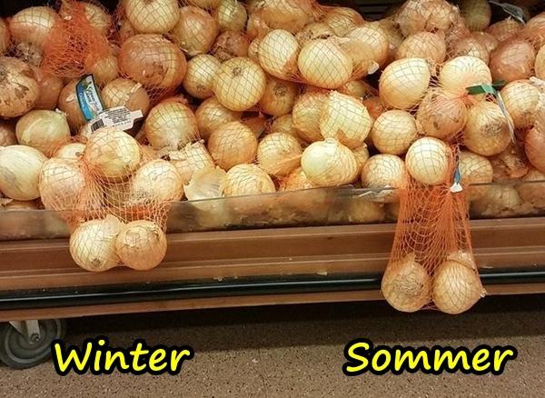 Winter gegen Sommer