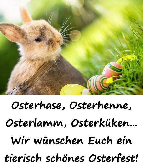 Osterhase, Osterhenne, Osterlamm, Osterküken... Wir wünschen Euch ein tierisch schönes Osterfest!