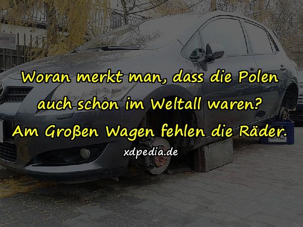 Zitate Sprüche Memes Deutsch Debeste Lustig Witze Lustige