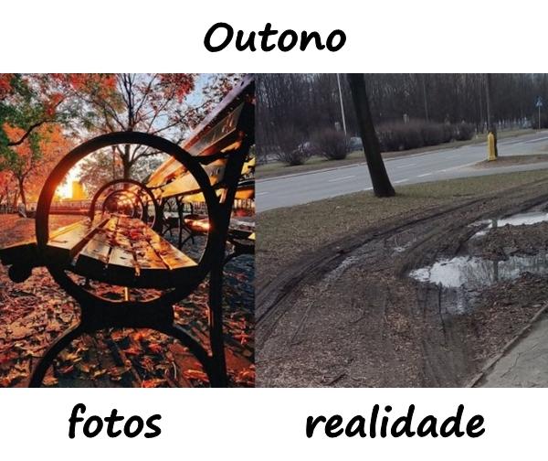 Outono - fotos e realidade