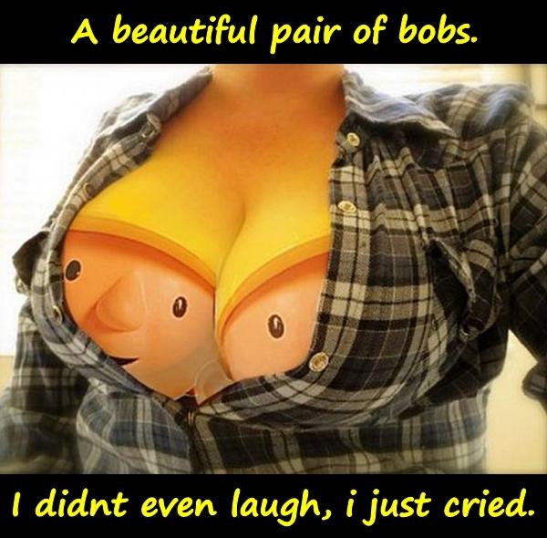 A beautiful pair of bobs. I didnt even laugh, i just cried.