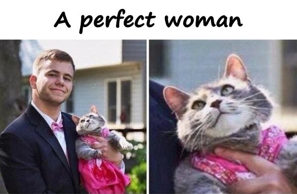 A perfect woman