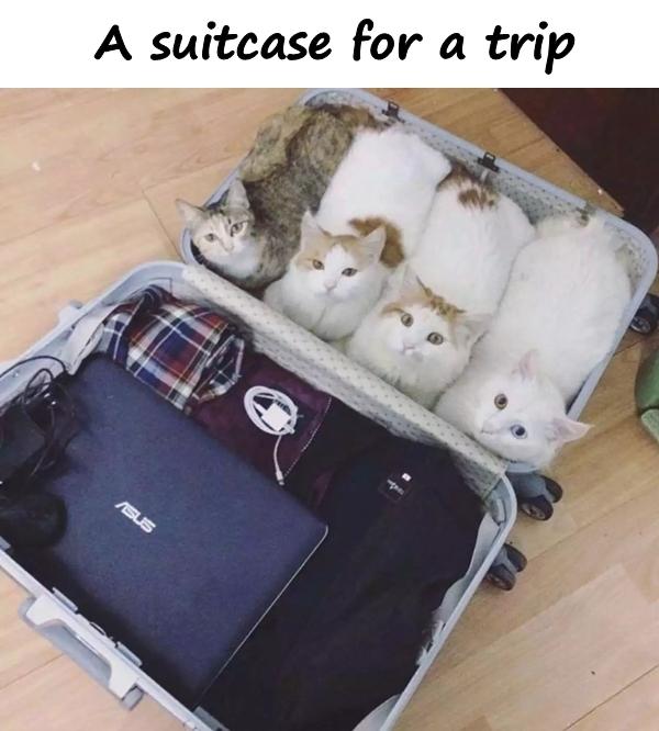A suitcase for a trip