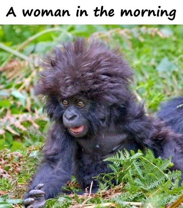 A woman in the morning