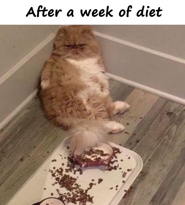 After a week of diet