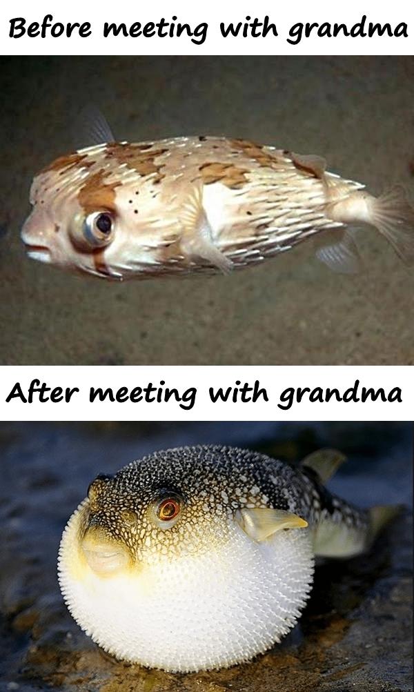 After meeting with grandma