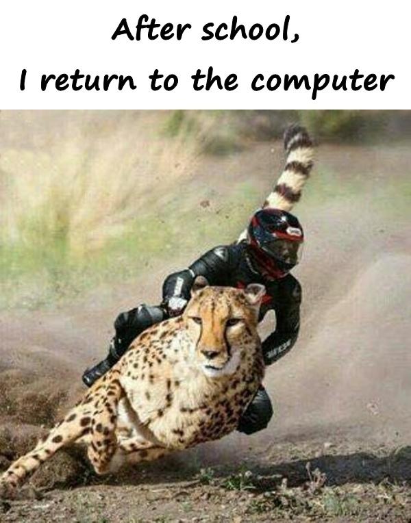 After school, I return to the computer
