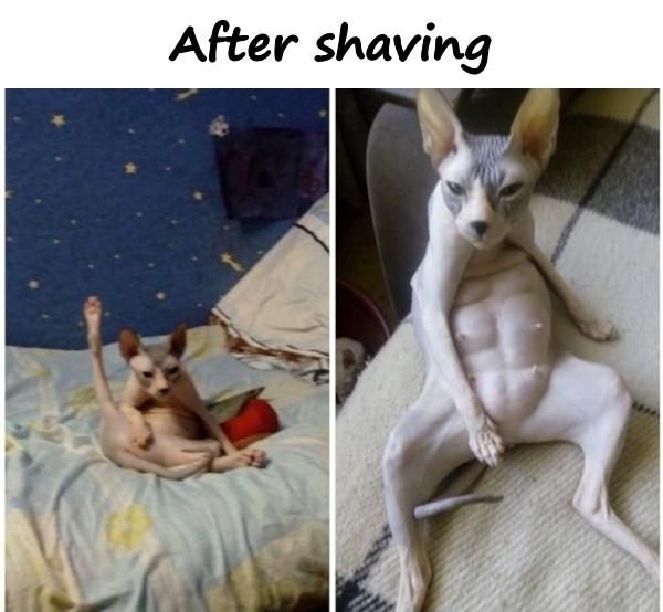After shaving