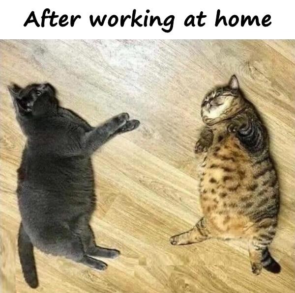 After working at home