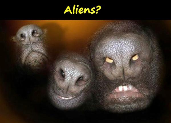 Aliens?