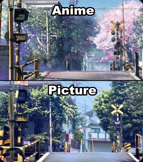 Anime vs. picture