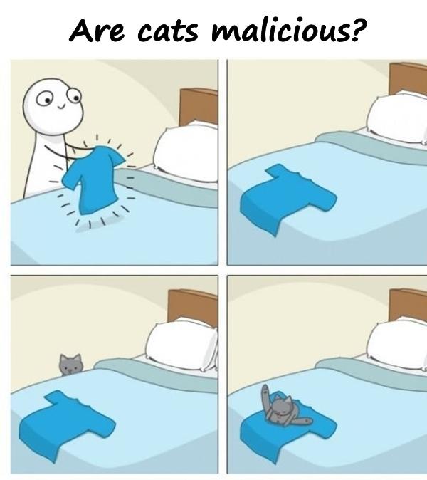 Are cats malicious?