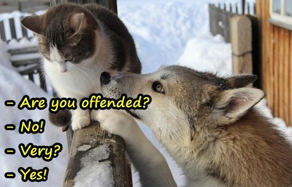 - Are you offended? - No! - Very? - Yes!