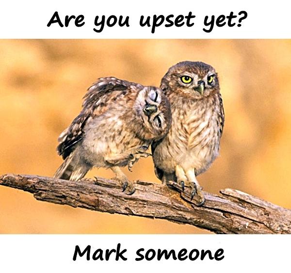 Are you upset yet? Mark someone.