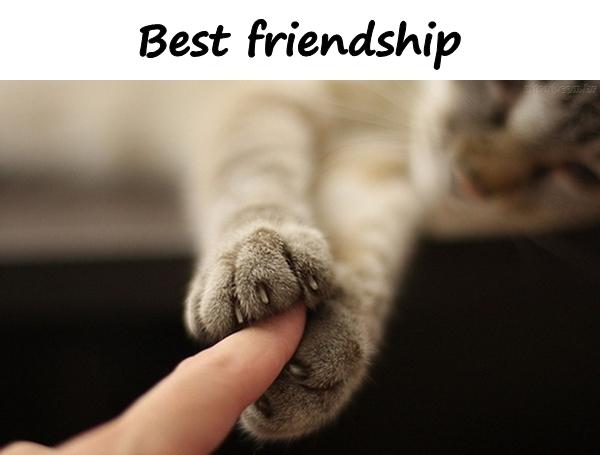 Best friendship