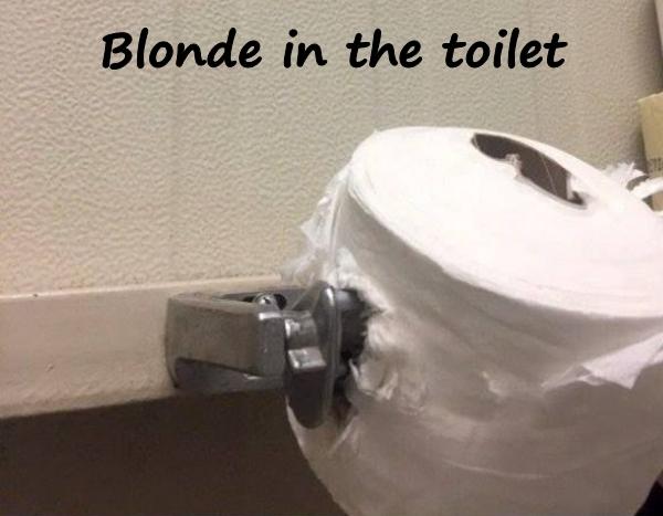 Blonde in the toilet