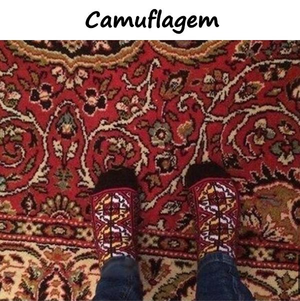 Camuflagem