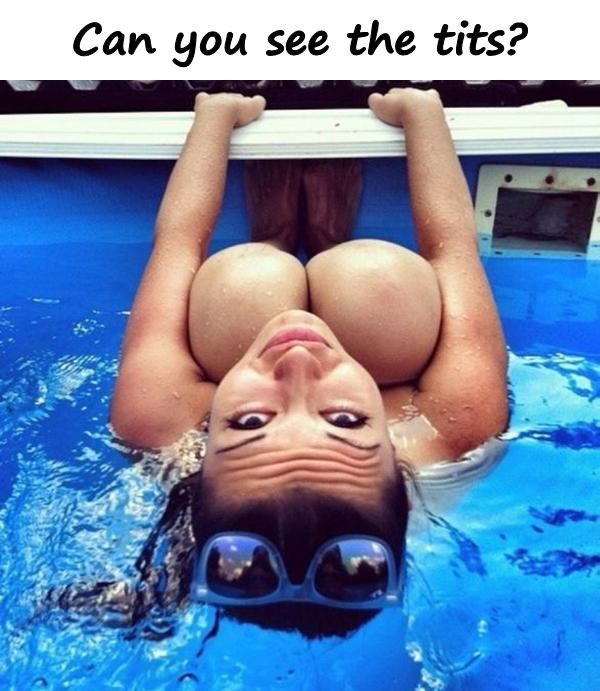 Can you see the tits?