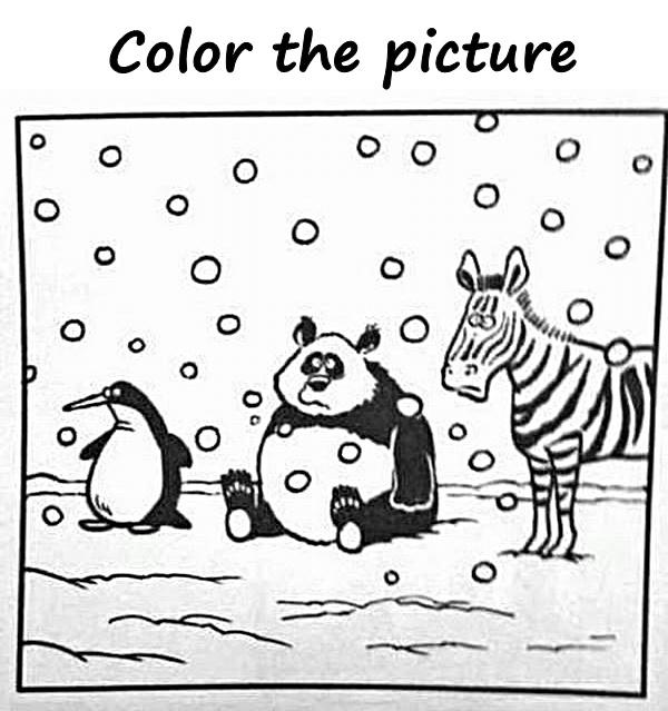 Color the picture