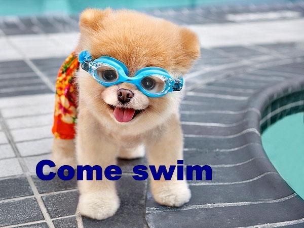 Come swim