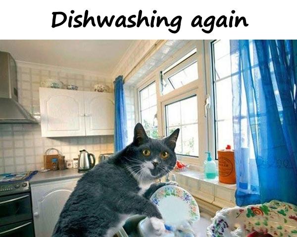 Dishwashing again