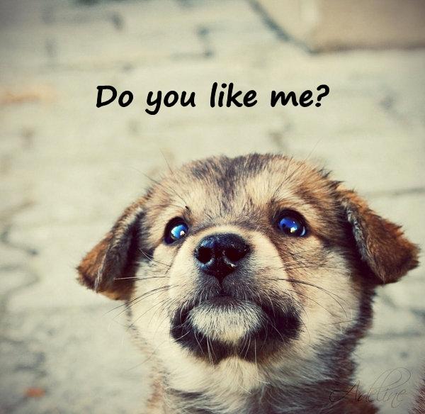 Do you like me?