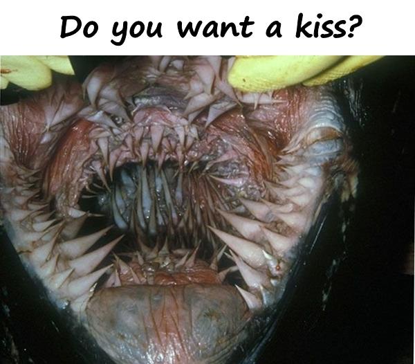 Do you want a kiss?